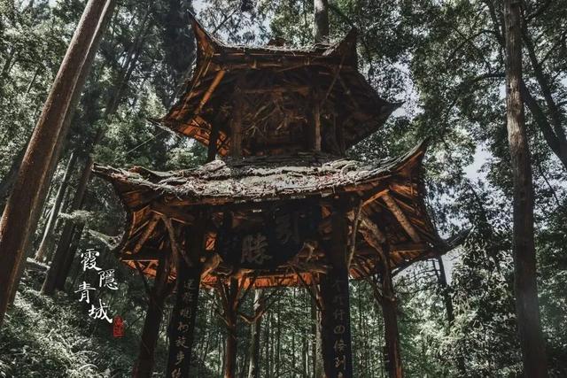 青城山旅游路线，青城山最详细攻略（如此详细的景点介绍你确定看过吗）