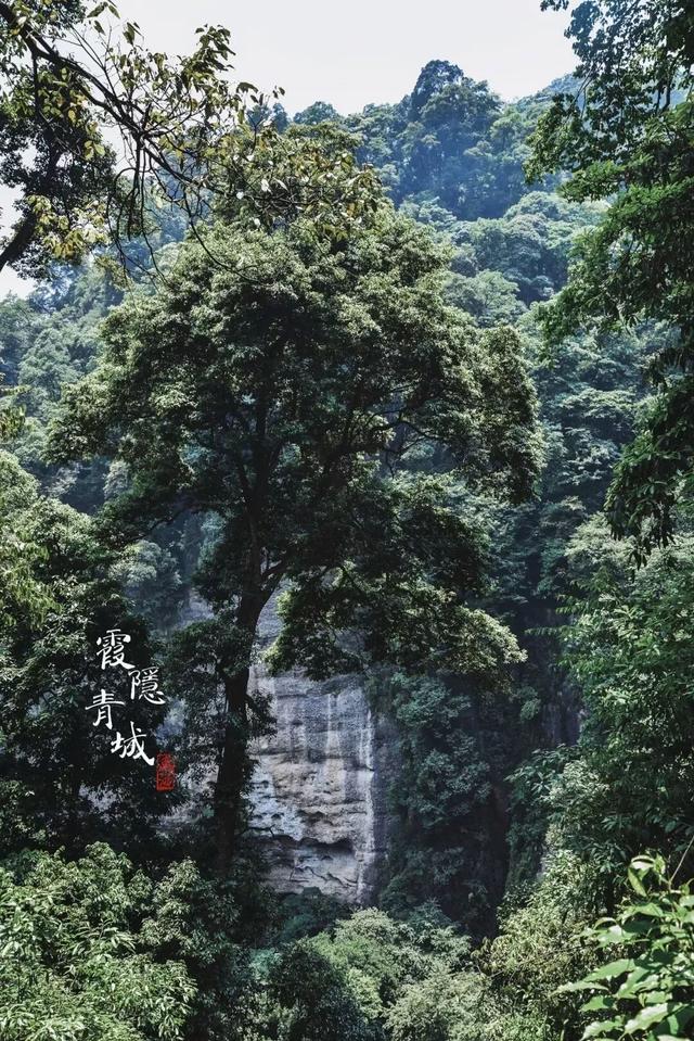 青城山旅游路线，青城山最详细攻略（如此详细的景点介绍你确定看过吗）