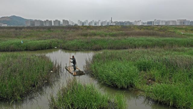 船锚怎么收回，船锚怎么收回来意识图（浙江乐清血蚶养殖消亡危机）