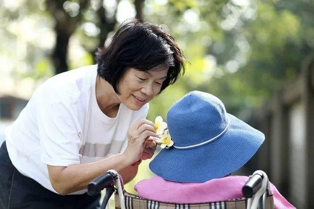 龙应台的作品有哪些，龙应台的书有哪些的书（龙应台辞官照顾失忆母亲）