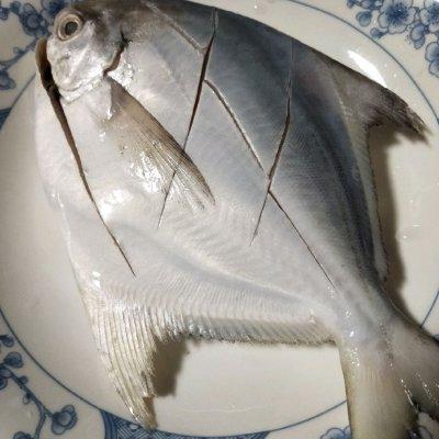 枪鱼的做法有什么，美食有花样#快手黄豆酱蒸白枪鱼