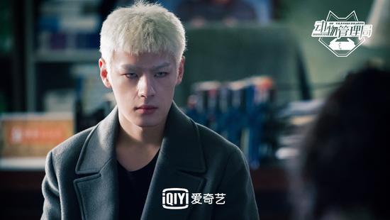 动物管理局社长是什么动物（高冷蝙蝠谭泉银发造型帅气现身）