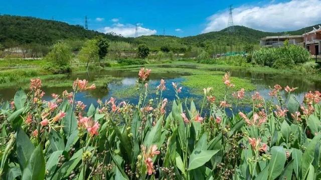 厦门端午节旅游路线推荐一下，这些精品旅游线路不可错过