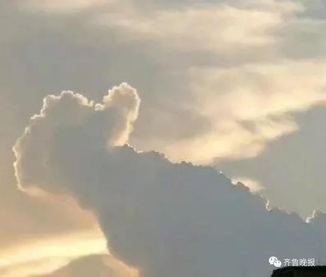 维纳斯身高多少，维纳斯的身高是多少正确答案（这届考生患上被维纳斯支配的恐惧......）