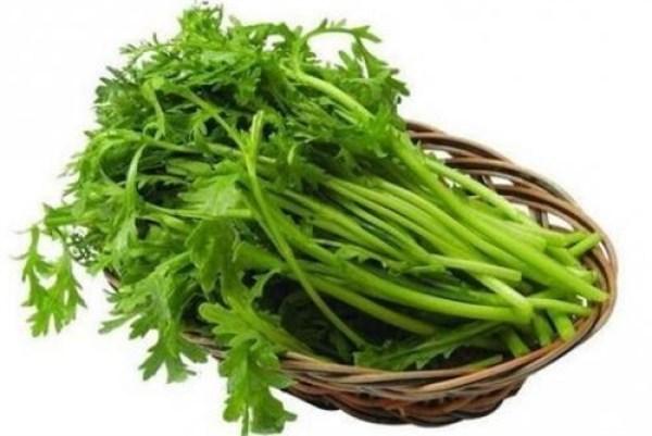 皇帝菜是茼蒿吗，皇帝菜和茼蒿的区别（这种菜被称为“皇帝菜”不爱吃你就亏大了）