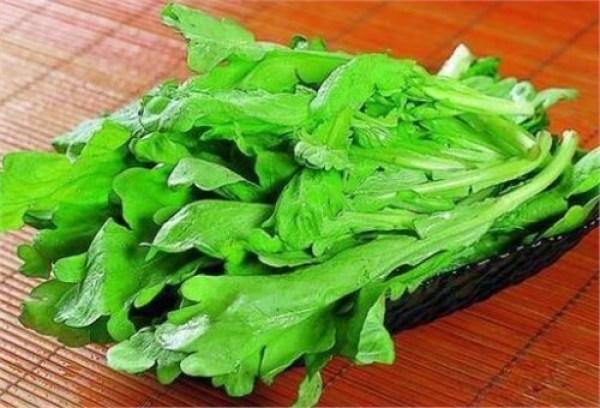 皇帝菜是茼蒿吗，皇帝菜和茼蒿的区别（这种菜被称为“皇帝菜”不爱吃你就亏大了）