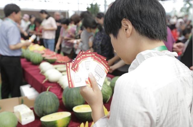 东方一号蜜瓜产地是哪，东方一号甜瓜（上海郊区西甜瓜大PK）