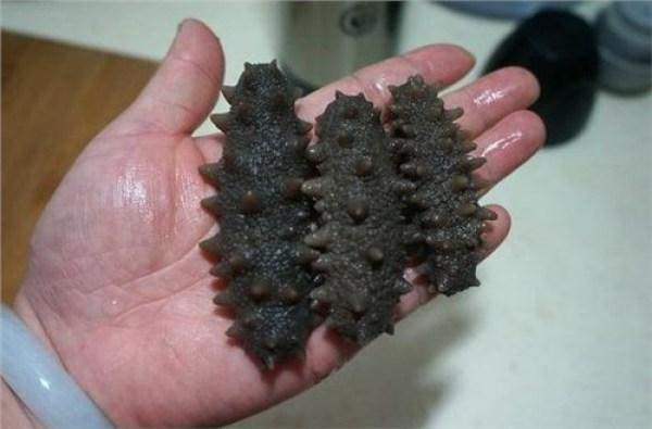 发干海参的正确方法，海参怎么发 2招帮你留住营养