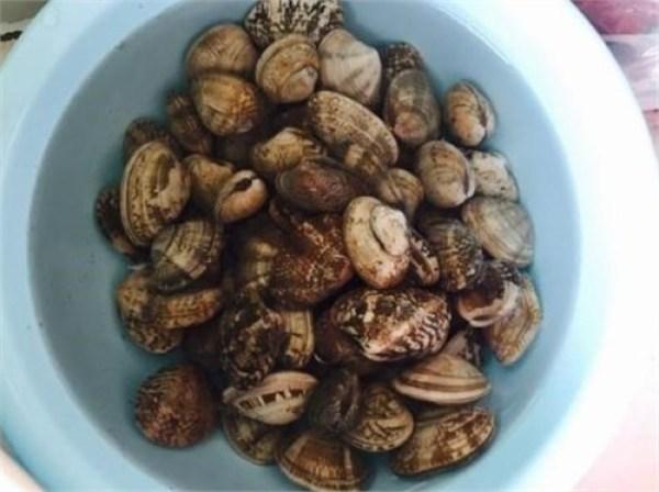 花蛤炒几分钟能炒熟，花蛤炒多长时间（只要5分钟就能轻易搞定）