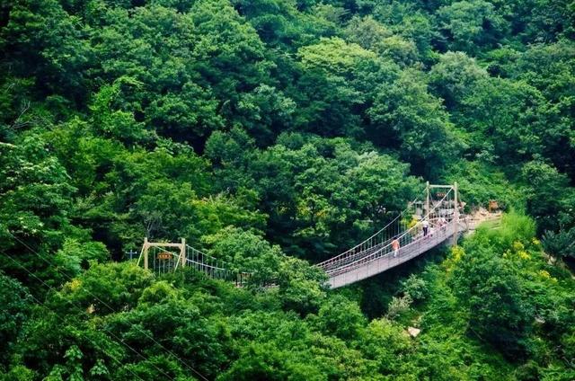 纸牌金陵十三钗游戏规则，金陵十三钗游戏规则怎样的（这些景区门票能打折）