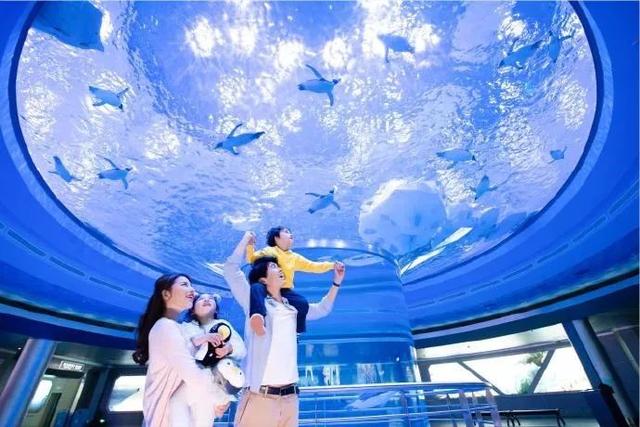 纸牌金陵十三钗游戏规则，金陵十三钗游戏规则怎样的（这些景区门票能打折）