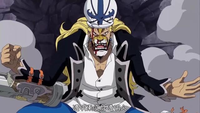 海贼王果实分类与排名，海贼王五大最强恶魔果实排名（《海贼王》里最受欢迎的10大果实）