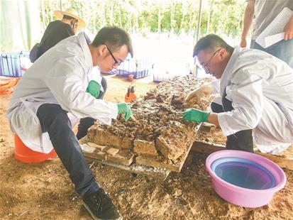 武汉方言不服周典故，湖北方言“不服周”找到实物证据
