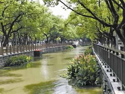 庄桥家电维修 1000余条民生建议“落地生根”庄桥街道环境面貌大变样