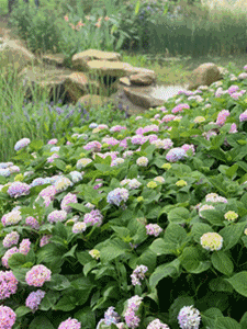 纸牌金陵十三钗游戏规则，金陵十三钗游戏规则怎样的（这些景区门票能打折）