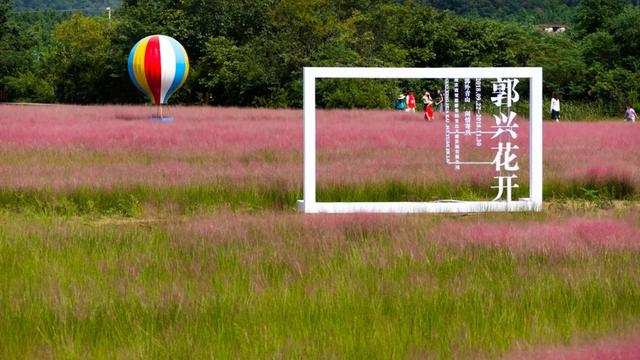 纸牌金陵十三钗游戏规则，金陵十三钗游戏规则怎样的（这些景区门票能打折）