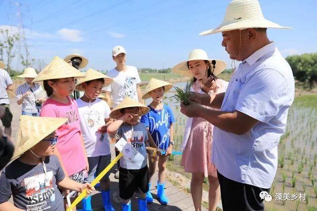 纸牌金陵十三钗游戏规则，金陵十三钗游戏规则怎样的（这些景区门票能打折）