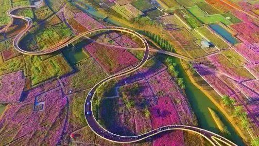 纸牌金陵十三钗游戏规则，金陵十三钗游戏规则怎样的（这些景区门票能打折）