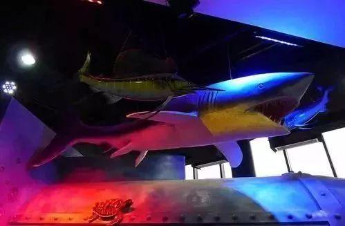 纸牌金陵十三钗游戏规则，金陵十三钗游戏规则怎样的（这些景区门票能打折）