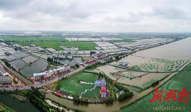 龙虾发源地，龙虾的发源地（口口相传的“虾将军”故事揭秘）