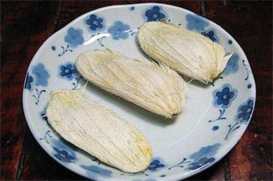 芒果怎么种植方法，种植芒果小妙招（掌握4个步骤盆栽美味芒果）