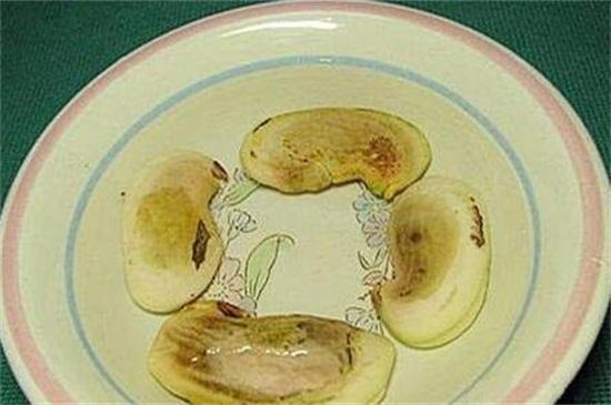 芒果怎么种植方法，种植芒果小妙招（掌握4个步骤盆栽美味芒果）