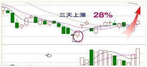 散户炒股技巧（学会不再在股市里面吃亏了）