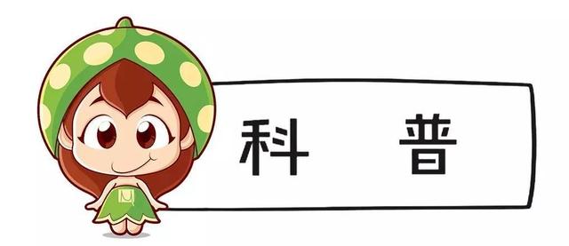 怎么查团员信息查询，团员编号在哪里查询（毕业了，别忘了找组织！）