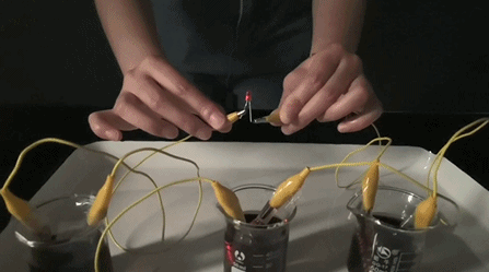 肥宅水到底是什么东西，肥宅水到底是什么东西杀蝌蚪（原来你是这样的肥宅快乐水）