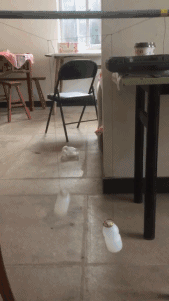 肥宅水到底是什么东西，肥宅水到底是什么东西杀蝌蚪（原来你是这样的肥宅快乐水）