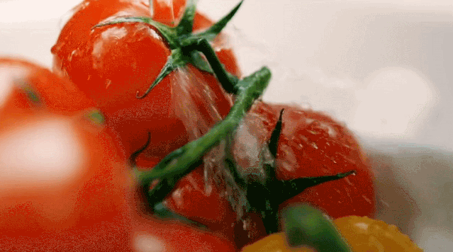 素炒茄子洋葱做法，红烧茄子洋葱的做法（夏季必吃的番茄）