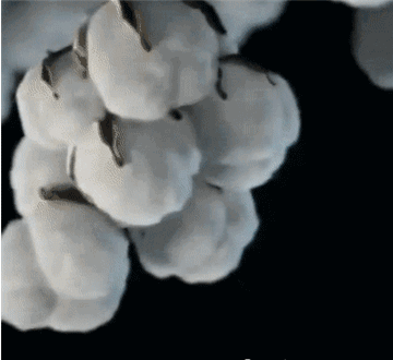 穿无痕内裤好吗，穿无痕内裤好吗男生（裆部总是潮呼呼，又痒又臭）