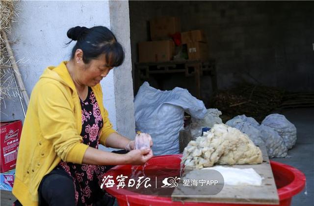 丝绵是什么，丝绵是什么棉（海宁这项传统手艺已不多见）