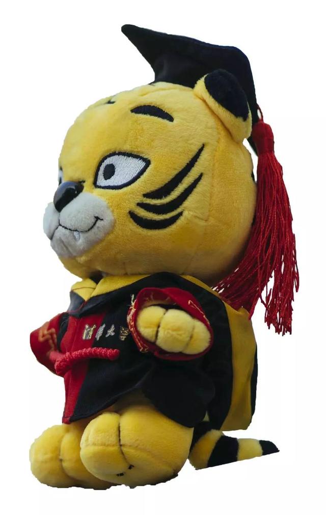 清华大学化工系，清华大学的化工系怎么样（进一寸有一寸的惊喜）