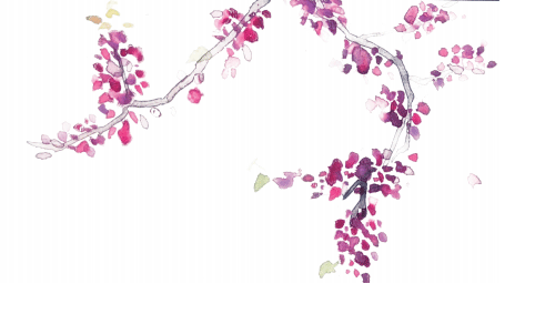 清华大学化工系，清华大学的化工系怎么样（进一寸有一寸的惊喜）