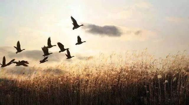 范仲淹的名句名言，范仲淹名言名句有哪些（范仲淹：处事莫如为善）