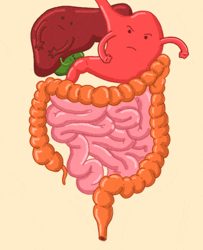 冰淇淋吃多了的危害，冰淇淋吃多了的危害有多大（夏天给孩子吃冷饮）