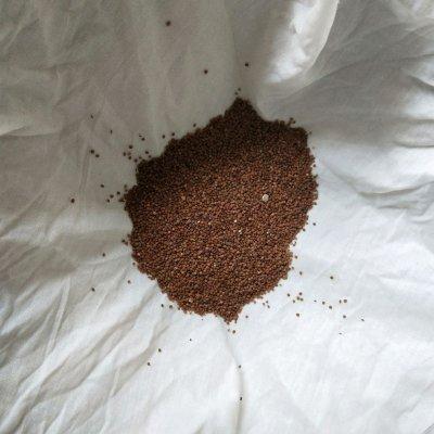 冰粉怎么做 冰粉的制作方法，冰粉怎么做（自制手搓冰粉的绝味秘籍）