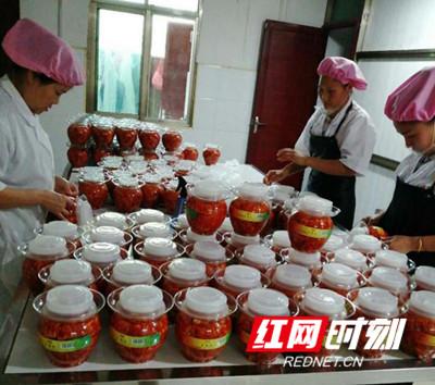 新化家电维修 罗志光：回乡创业谋发展 致富不忘众乡亲