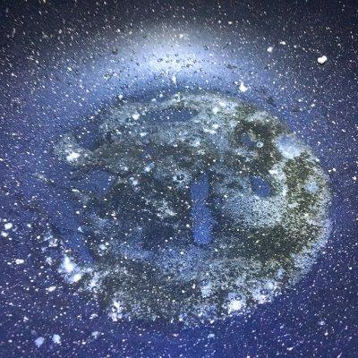 怎样做蒜香蒸鲍鱼，超简单又好味的蒜蓉蒸鲍鱼