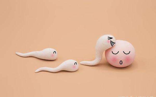 女人排卵期一般是几天，女人的排卵期是什么时候（而这3天更容易受孕）