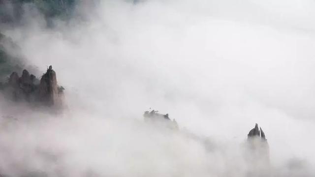 闭门羹是什么意思啊，三条腿的青蛙不好找