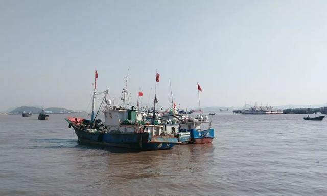 舟山群岛面积多少，浙江舟山岛面积（中国最大的群岛—舟山群岛）