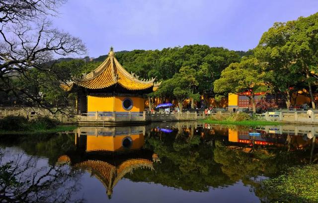 舟山群岛面积多少，浙江舟山岛面积（中国最大的群岛—舟山群岛）