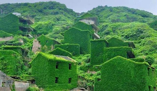 舟山群岛面积多少，浙江舟山岛面积（中国最大的群岛—舟山群岛）