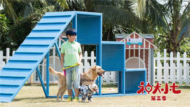 神犬小七第三部，姜潮宋妍霏携手萌娃救援现场展实力