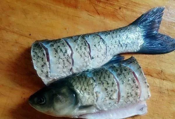 鱼怎么去除腥味，鱼怎么去腥味（鱼肉去腥不能只用葱姜料酒）