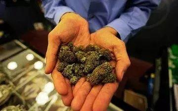 日本ICE烟有害吗，日本ice香烟（毒品大扫盲，看看你能认出几种）