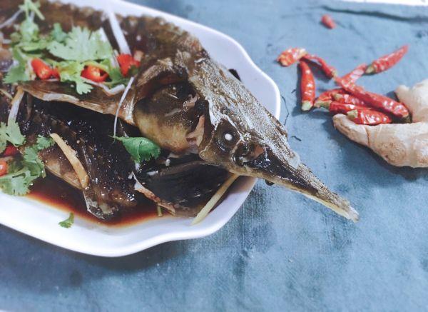 清蒸鲟鱼的家常做法，清蒸鲟鱼怎么做好吃又简单（———鲟鱼蒸吃）