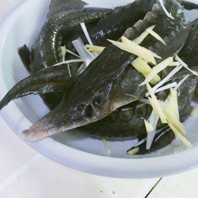 清蒸鲟鱼的家常做法，清蒸鲟鱼怎么做好吃又简单（———鲟鱼蒸吃）
